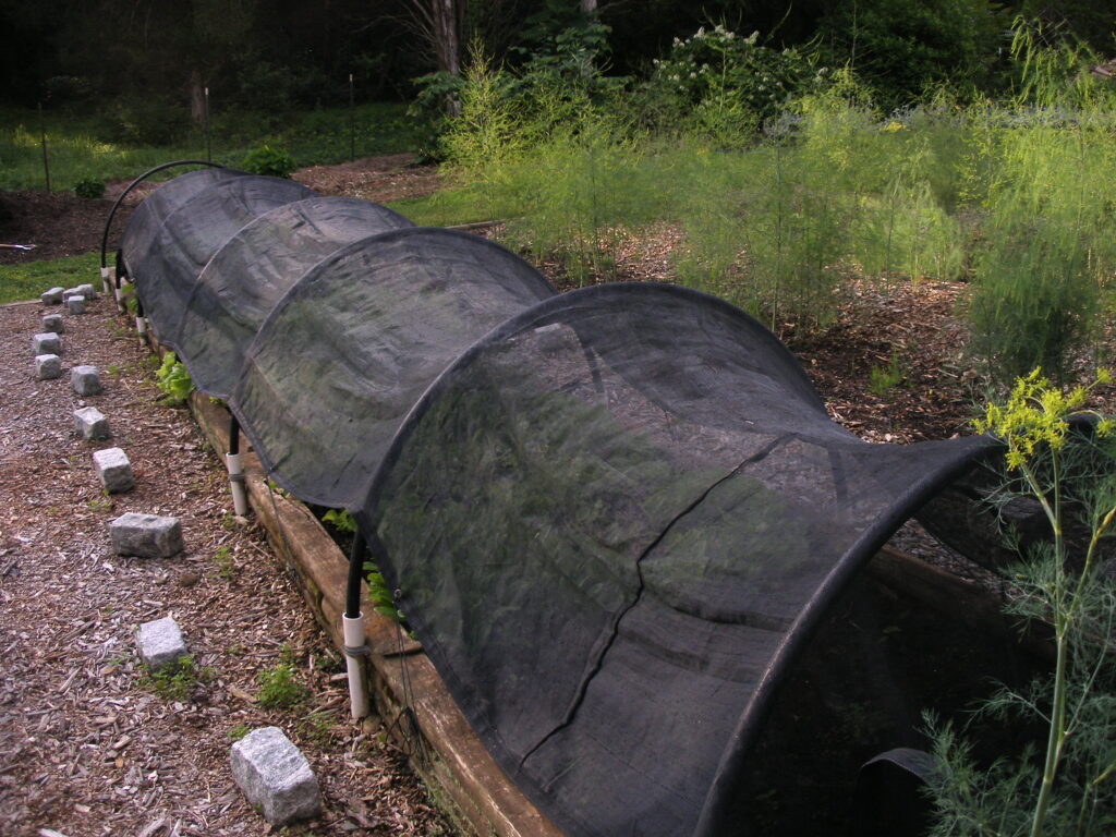 Tips and tasks in the vegetable garden | Piedmont Master Gardeners