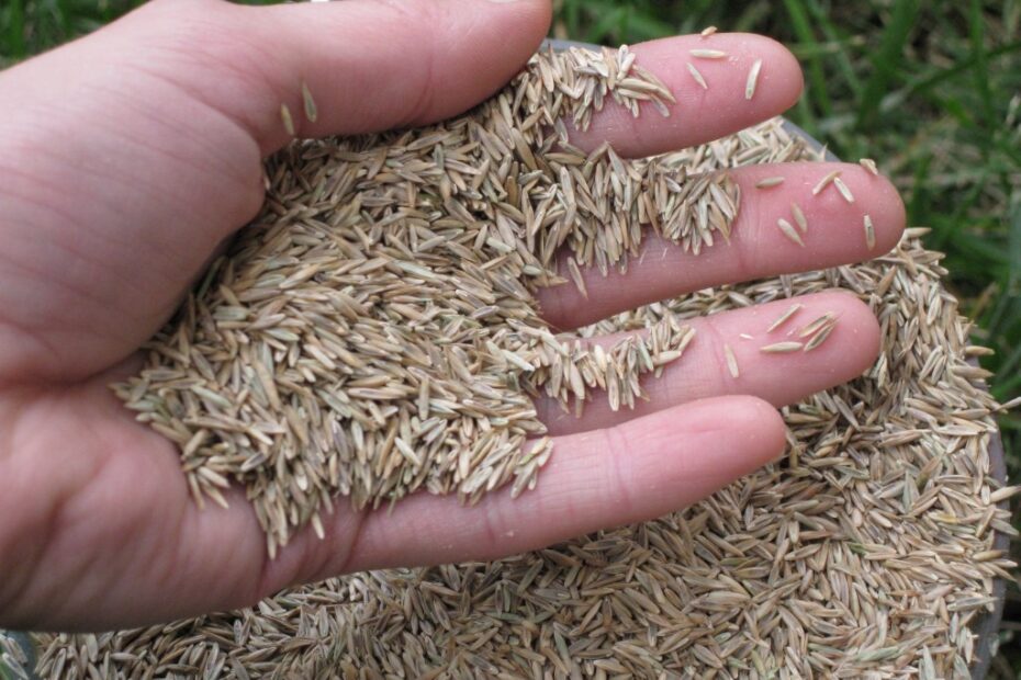 source: greengardenista.com