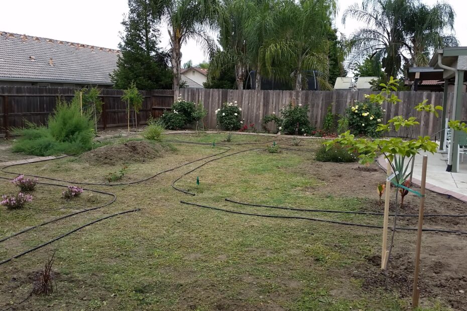 Drip irrigation system. Photo: Khosro Aminpour