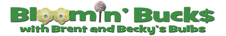 bloominbucks