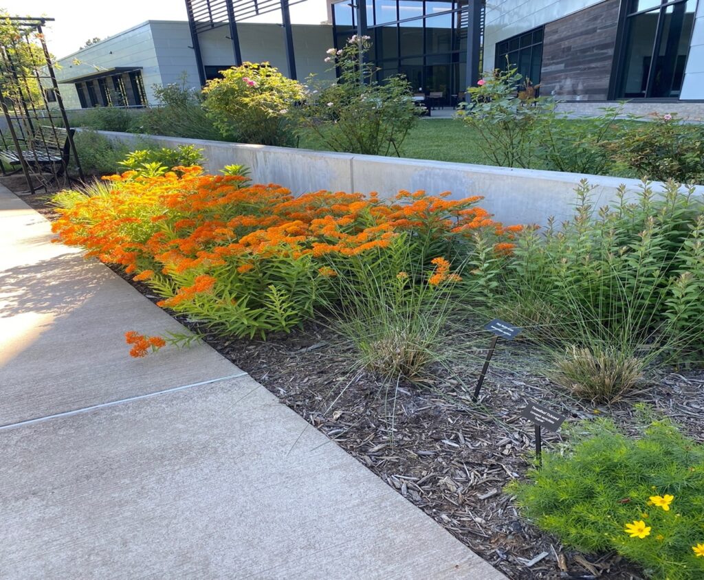 “Through The Garden Gate” Returns with Free Pollinator Week Garden ...